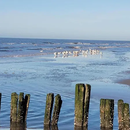 Skyscraper On The Highest Point With Beautiful View Bergen aan Zee