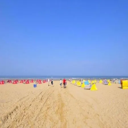 Skyscraper On The Highest Point With Beautiful View * Bergen aan Zee