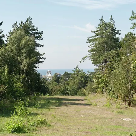 Skyscraper On The Highest Point With Beautiful View Apartment