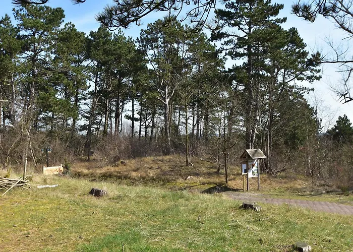 Skyscraper On The Highest Point With Beautiful View 버겐안지