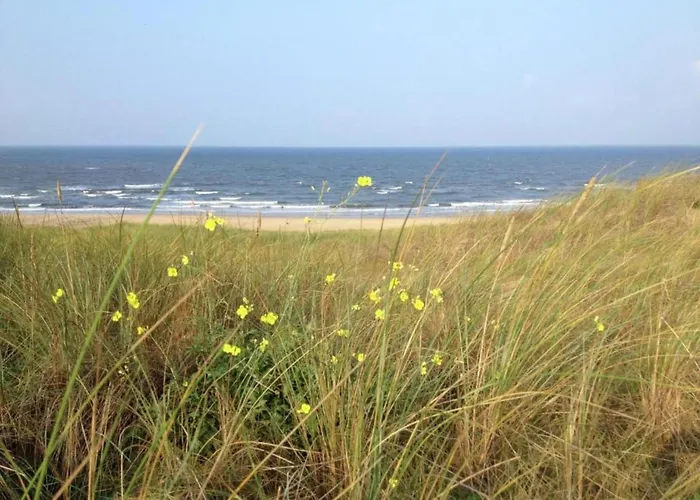 아파트 Skyscraper On The Highest Point With Beautiful View 버겐안지