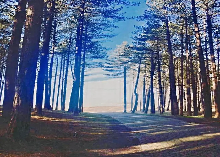 Skyscraper On The Highest Point With Beautiful View Lägenhet *