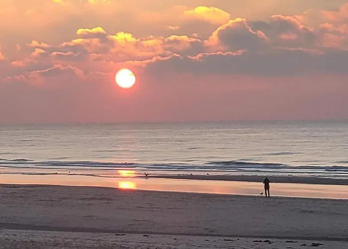 Skyscraper On The Highest Point With Beautiful View Lägenhet Bergen aan Zee